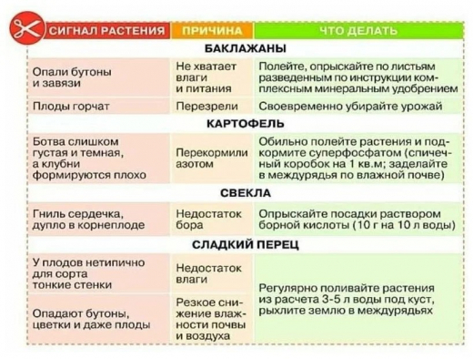 Средство 10гр Борная кислота ВХ